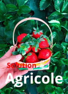 Genmar Solution Agricole